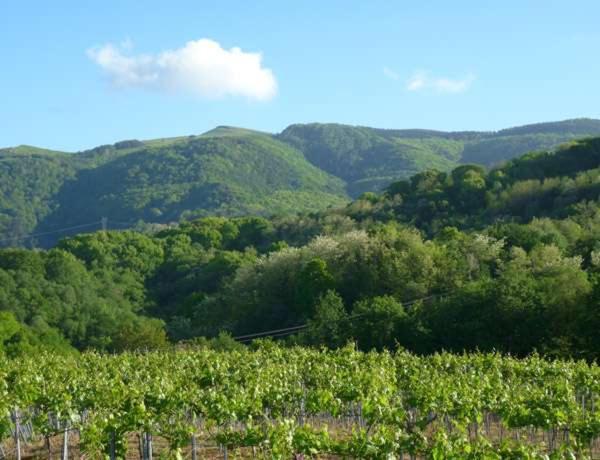 Aia Agroturismo Landarbide Zahar المظهر الخارجي الصورة